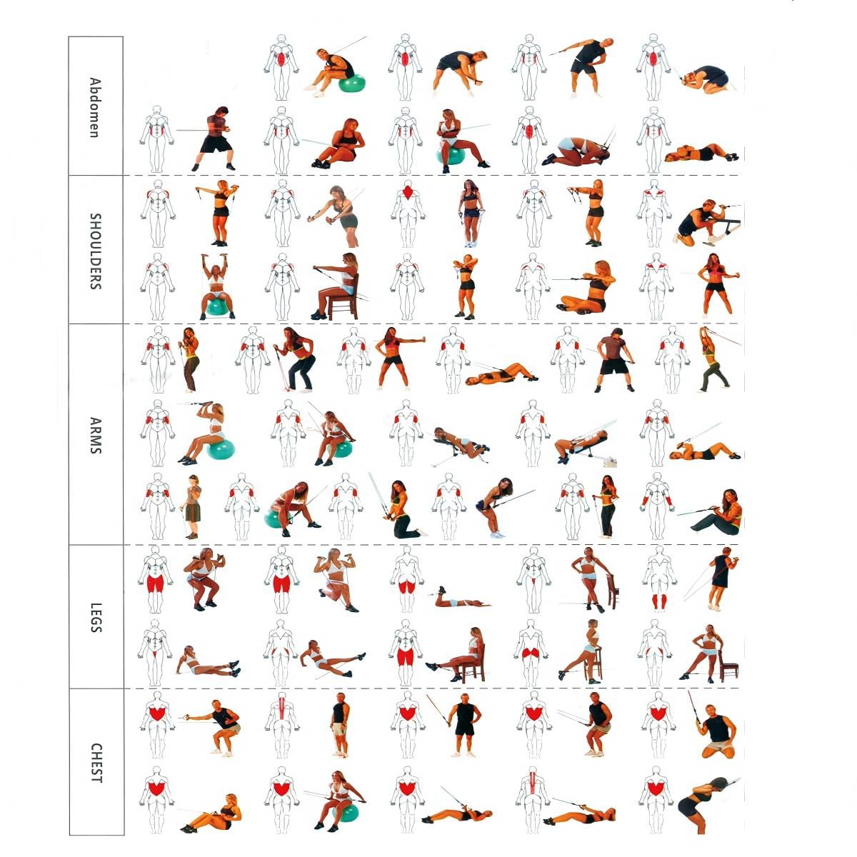 11-Piece Set Resistance Bands Exercise Bands up to 150Lbs, Work Out Bands with Handles, Color Coded Exercise Bands, Exercise Guide, Storage Bag